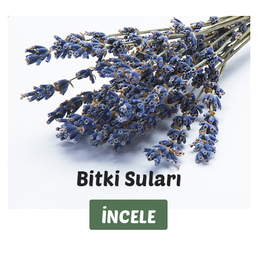 bitki suları