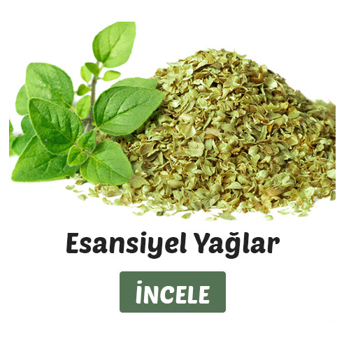 esansiyel yağlar